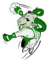 Turniej piki rcznej (rocznik 2012-2013-2014)
